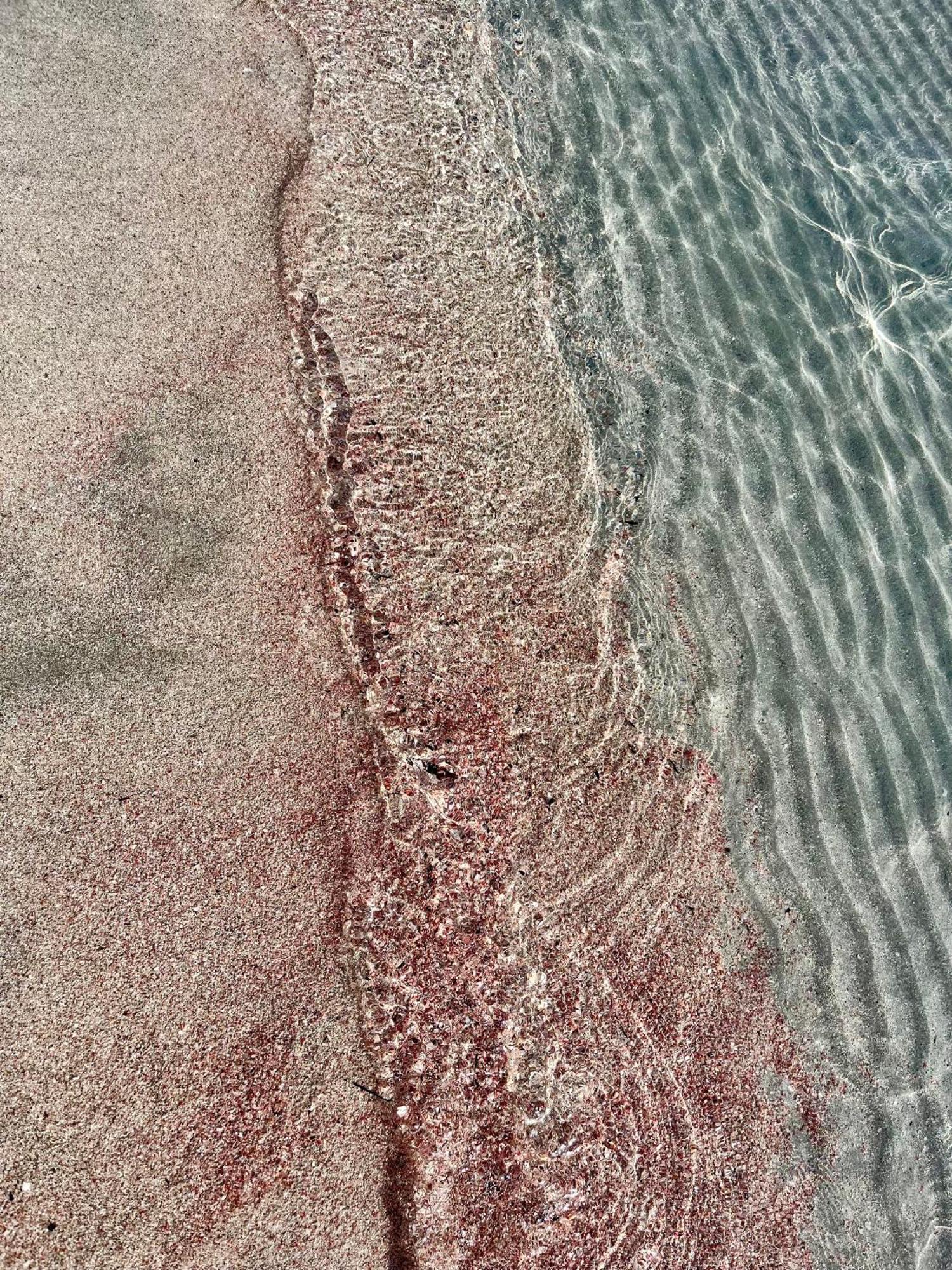 Case Vacanze "Bianco Mare" Porto Pino Luaran gambar